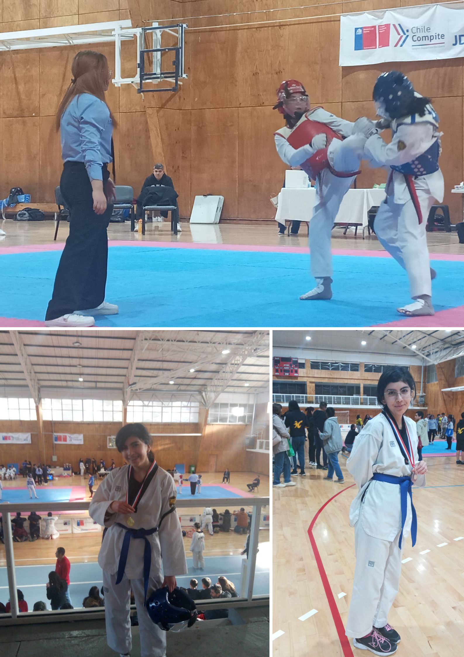 Campeonato Taekwondo Open Junior