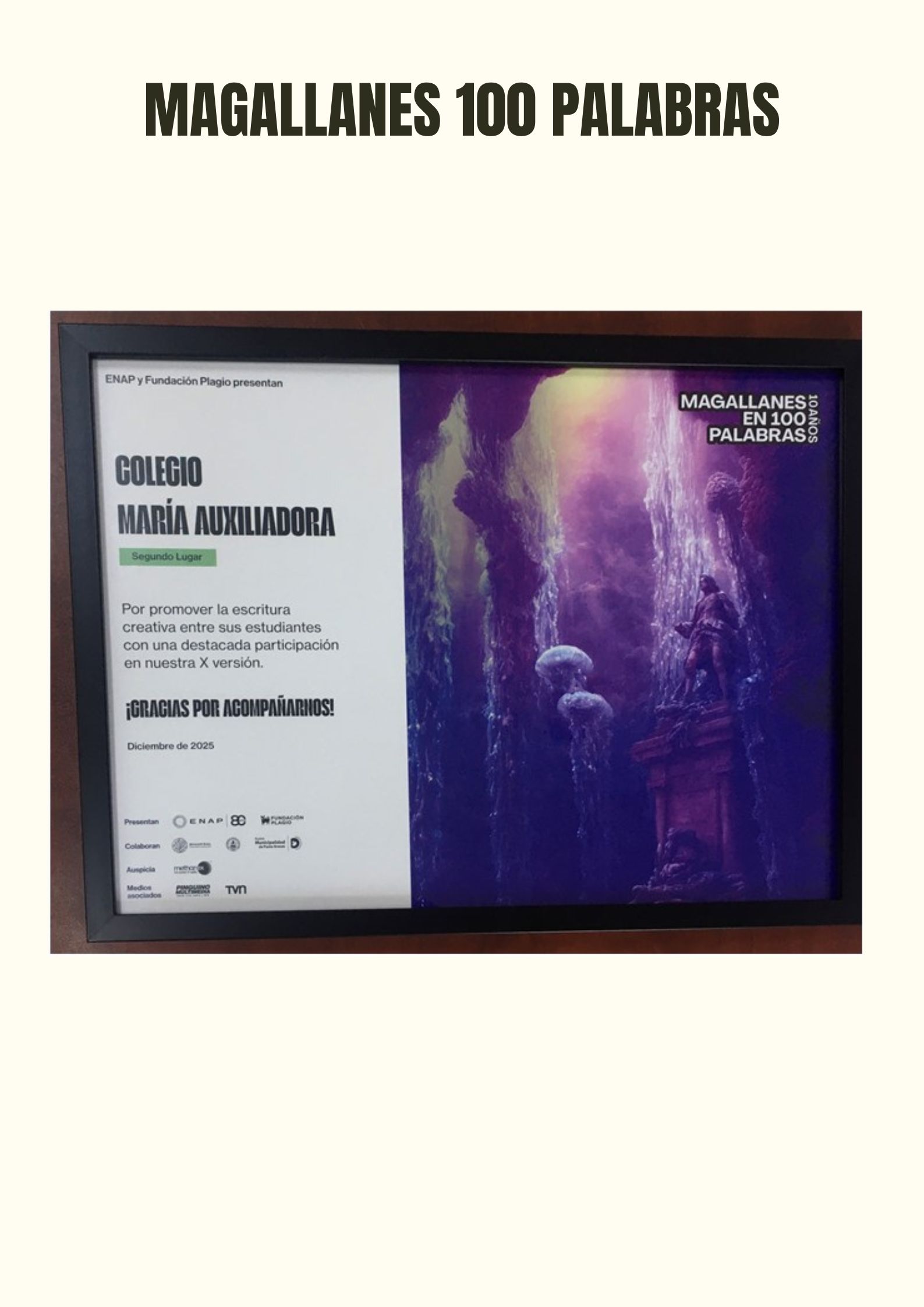 Obtenemos el 2° Lugar en Concurso Magallanes en 100 Palabras, Categoría Colegios