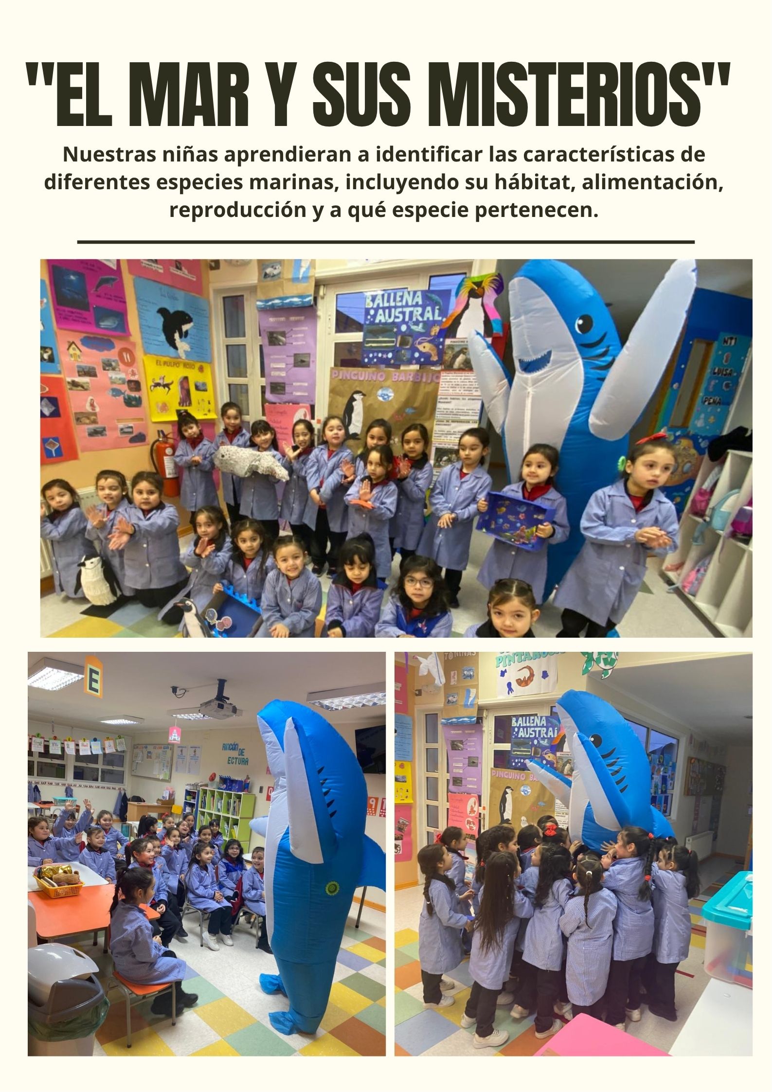 Finalizamos con éxito nuestro proyecto