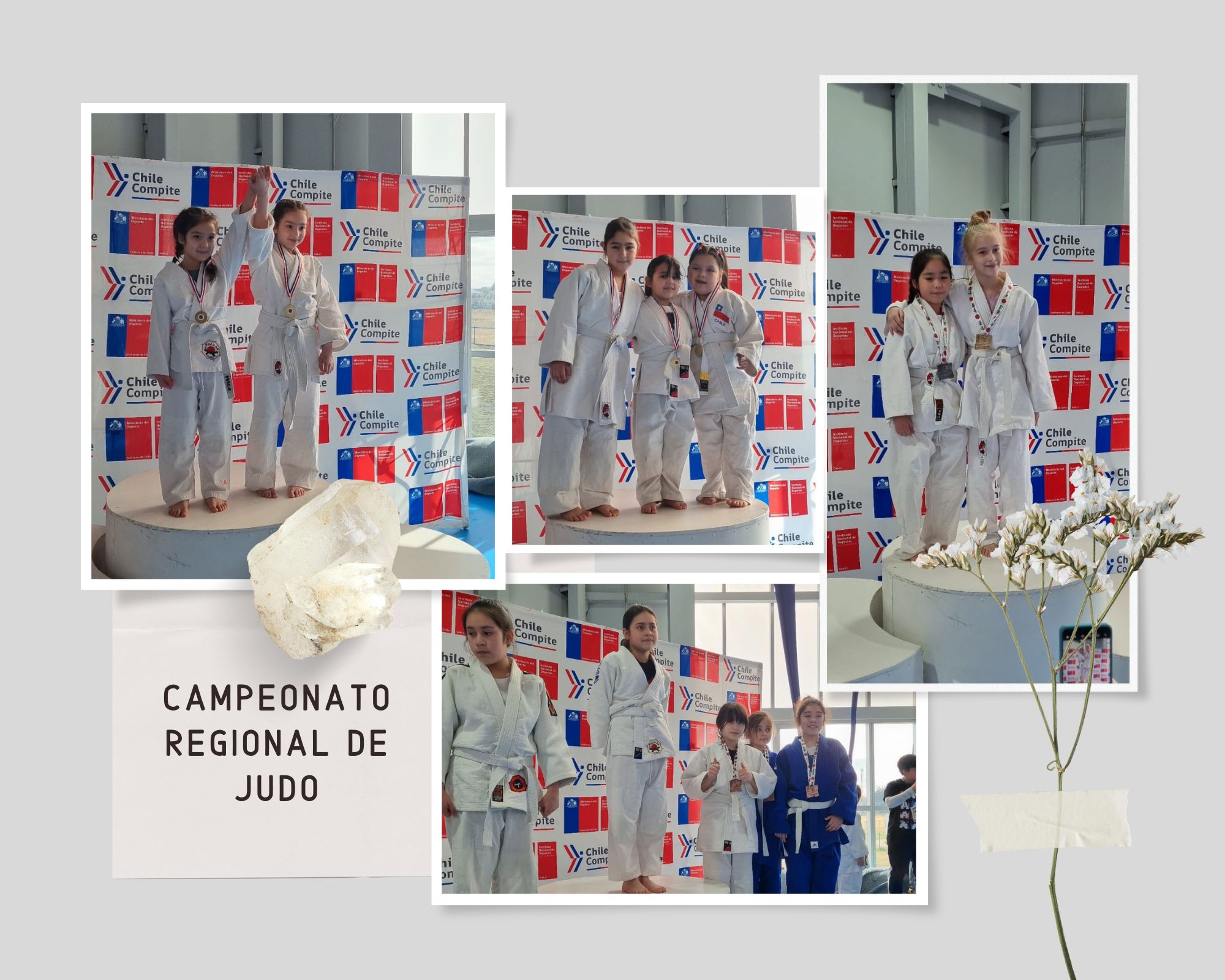 Campeonato_regional_de_JUDO.jpg